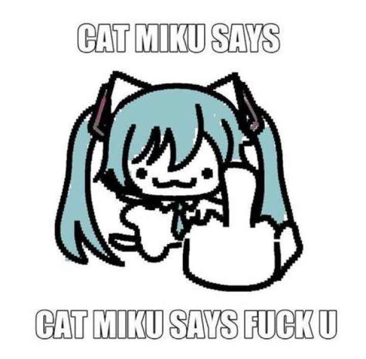 The "Fuck You Cat" Meme: Origins, Meaning, and Cultural Impact
